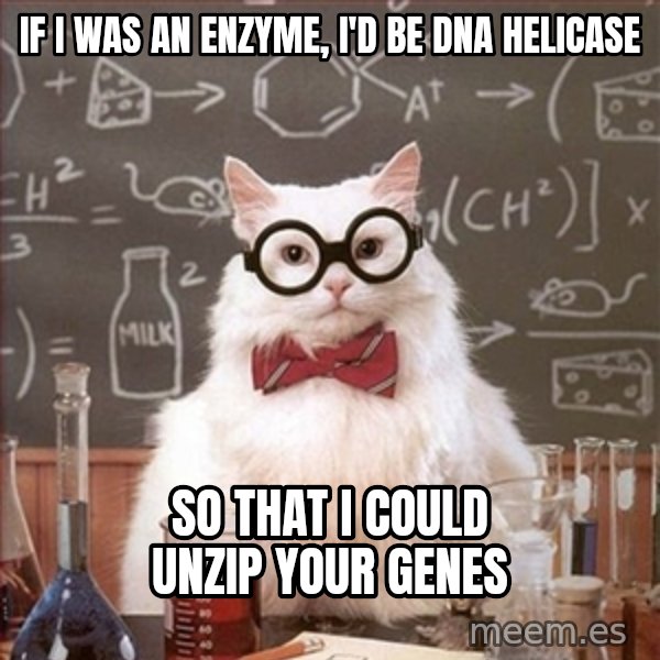 Science Cat meme: If i was an enzyme, i'd be dna helicase / so that i could unzip your genes