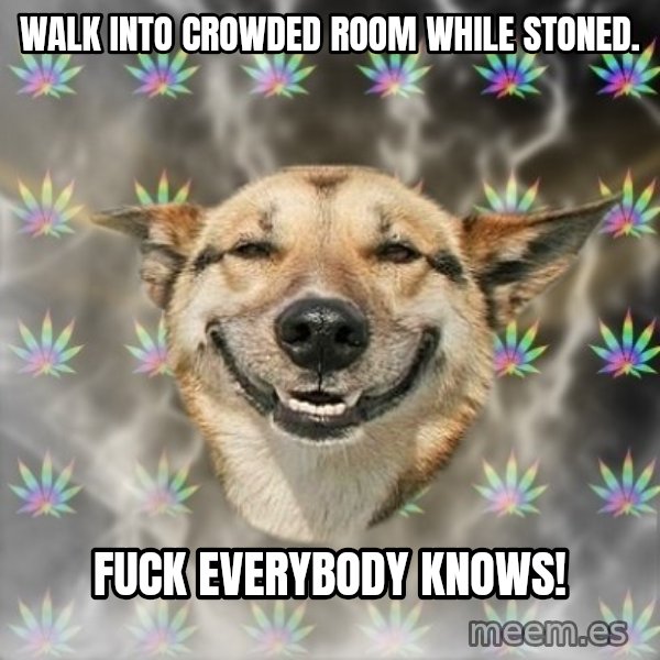 Stoner Dog meme: Walk into crowded room while stoned. / FUCK EVERYBODY KNOWS!
