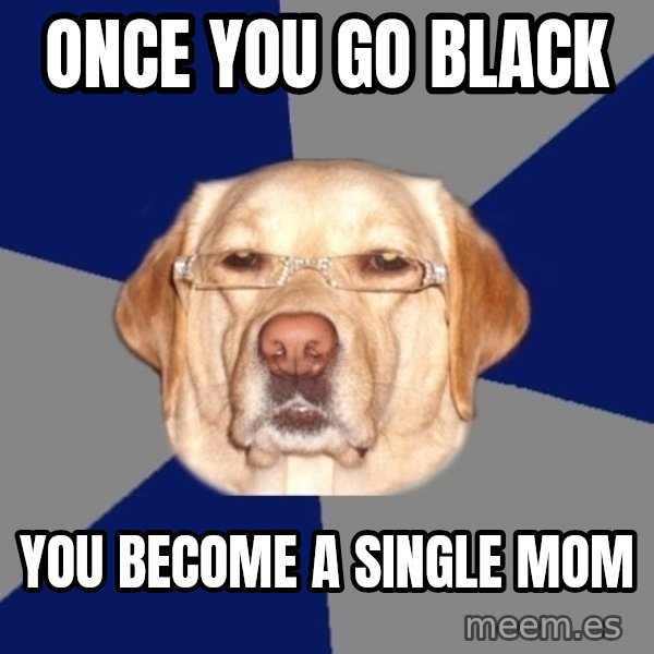 Racist Dawg meme: once you go black / you become a single mom