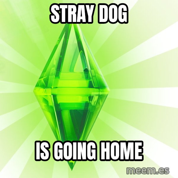 Sims meme: stray dog / is going home