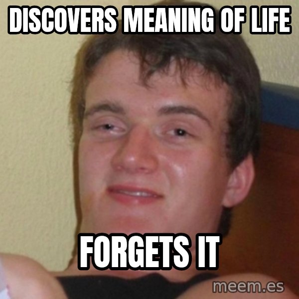 Really Stoned Guy meme: DISCOVERS MEANING OF LIFE / FORGETS IT