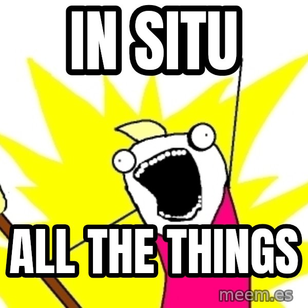 X ALL THE THINGS meme: In SITU / ALL THE THINGS