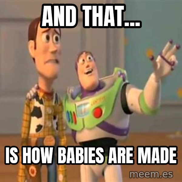 X, X Everywhere  meme: And that... / is how babies are made