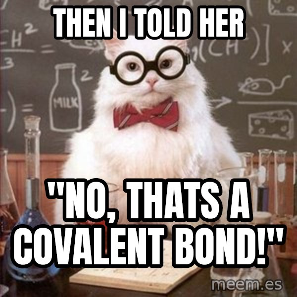 Chemistry Cat meme: then i told her / "no, thats a covalent bond!"