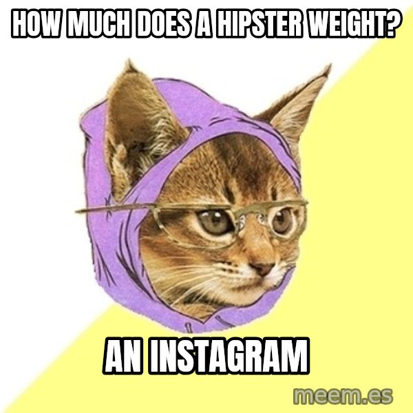 Hipster Kitty meme: How much does a hipster weight? / an instagram