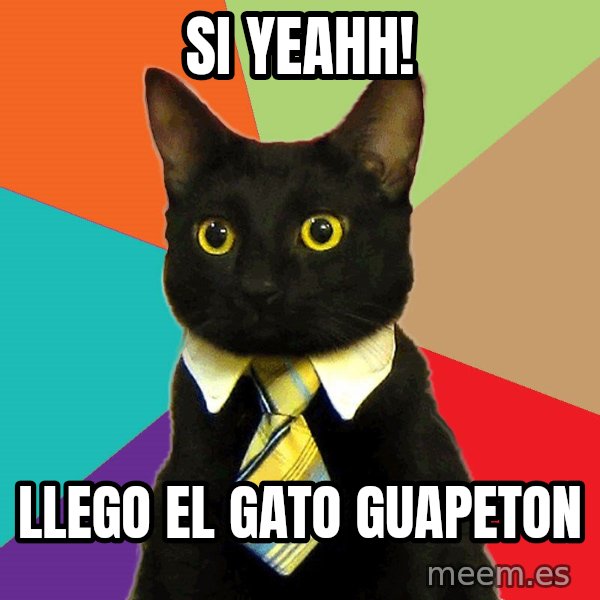 Business Cat meme: si yeahh! / llego el gato guapeton