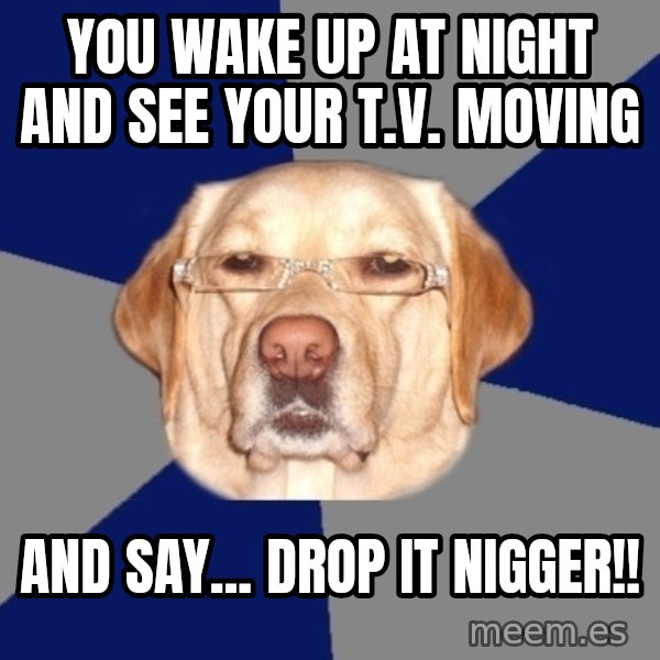 Racist Dog meme: YOu wake up at night and see your t.v. Moving / And say... Drop it nigger!!