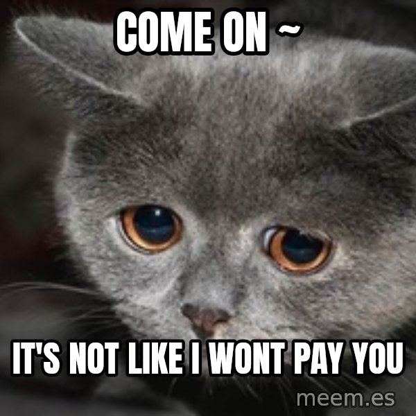 Sadcat meme: come on ~ / it's not like i wont pay you