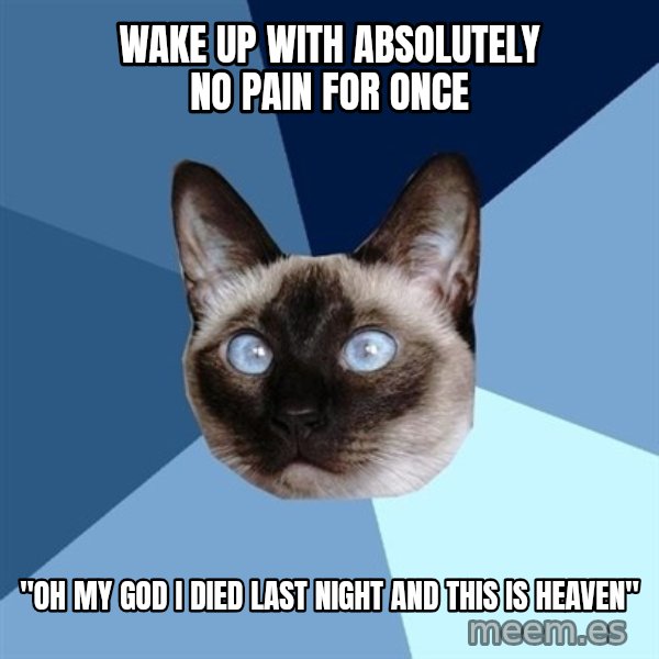 Chronic Illness Cat meme: Wake up with absolutely no pain for once / "oh my god I died last night and this is heaven"