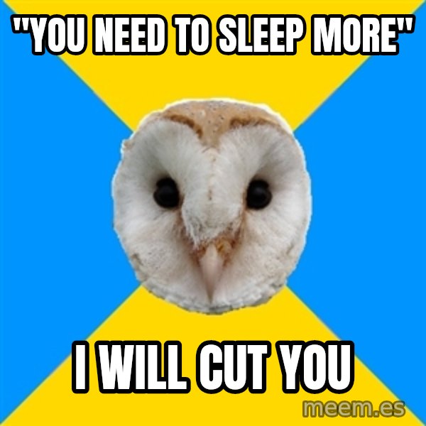 Bipolar Owl meme: "YOU NEED TO SLEEP MORE" / I WILL CUT YOU