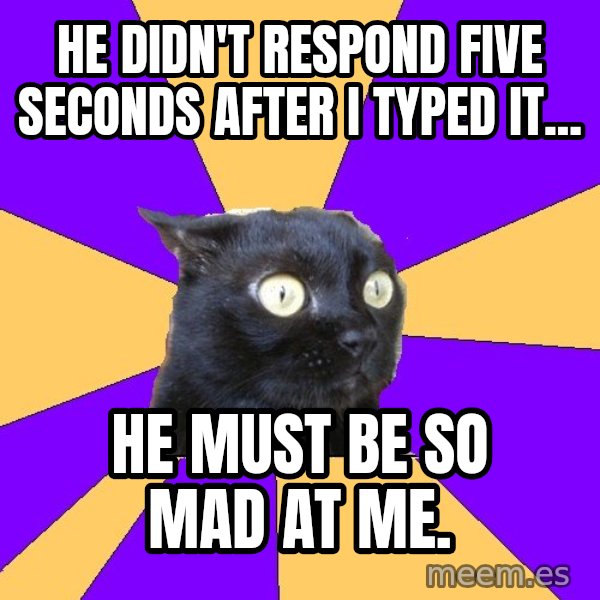 Anxiety Cat meme: He didn't respond five seconds after I typed it... / He must be so mad at me.