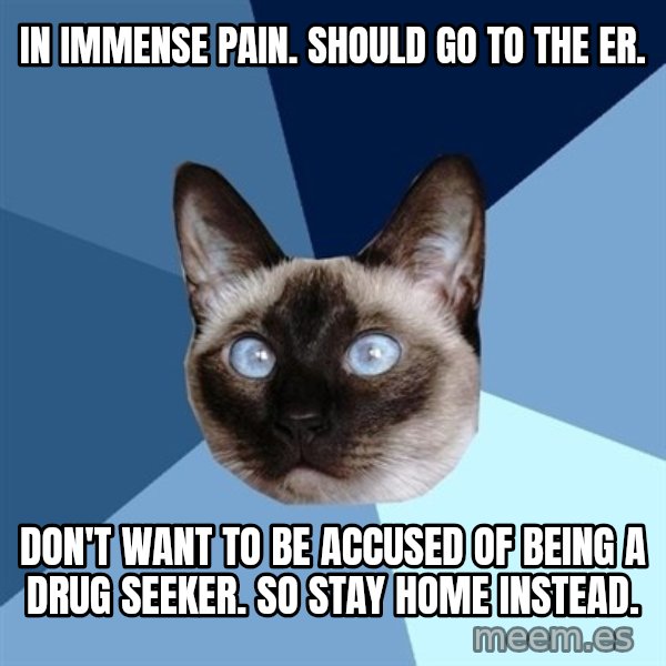 Chronic Illness Cat meme: In immense pain. Should go to the ER. / Don't want to be accused of being a drug seeker. So stay home instead.