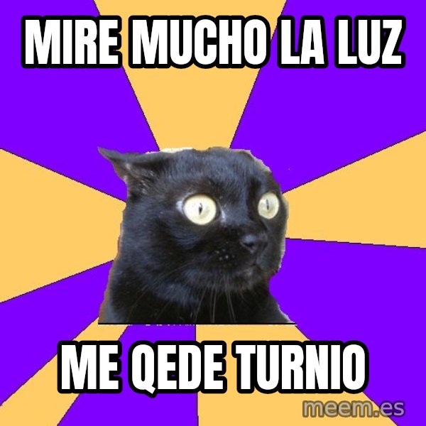 Anxiety Cat meme: mire mucho la luz / me qede turnio