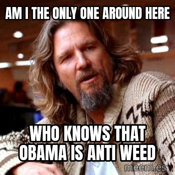 Big Lebowski meme: Am I the only one around here / who knows that Obama is anti weed