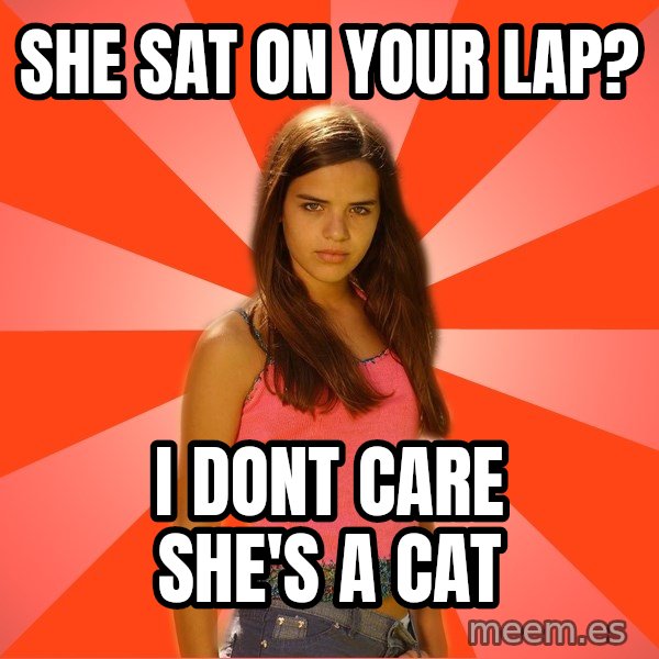 Jealous Girl meme: she sat on your lap? / i dont care she's a cat