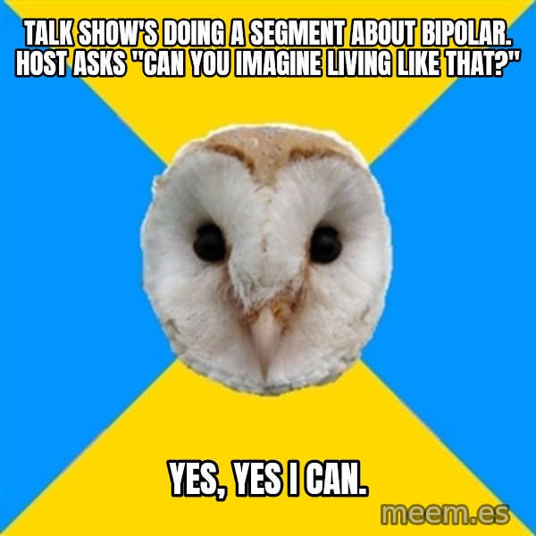 Bipolar Owl meme: Talk show's doing a segment about bipolar. Host asks "can you imagine living like that?" / Yes, yes I can.
