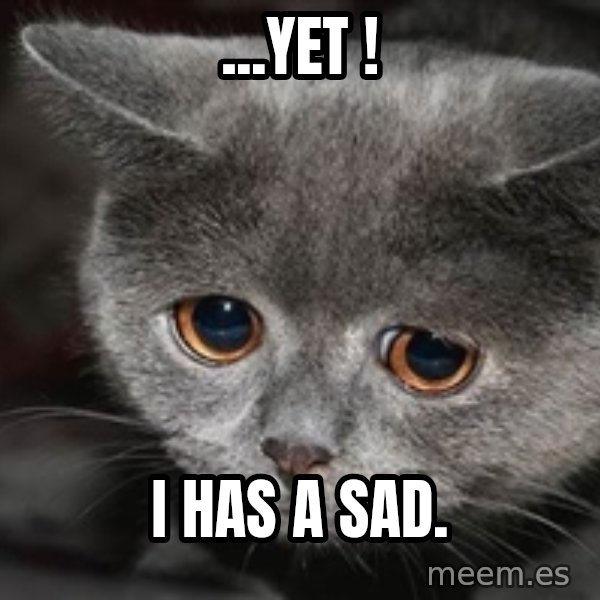 Sadcat meme: ...Yet ! / i has a sad.
