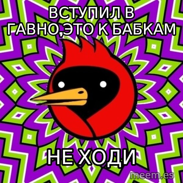 Omsk Crow meme: вступил в гавно,это к бабкам / не ходи