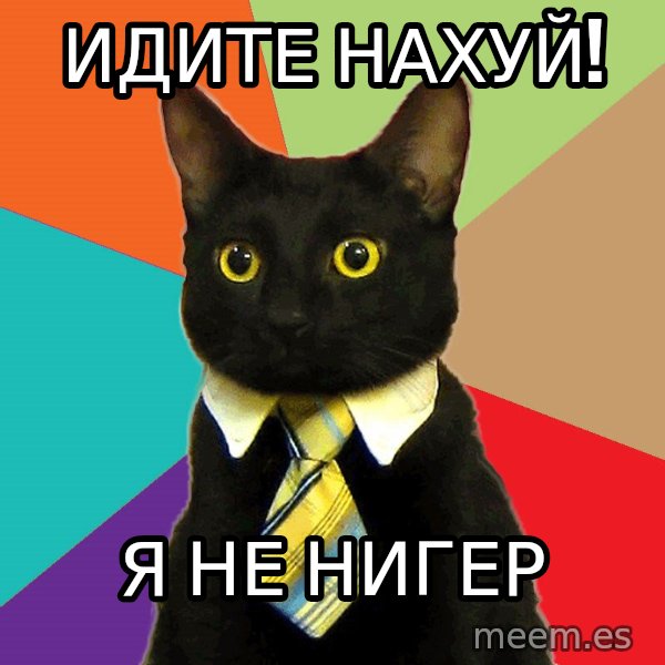 Business Cat meme: идите нахуй! / я не нигер
