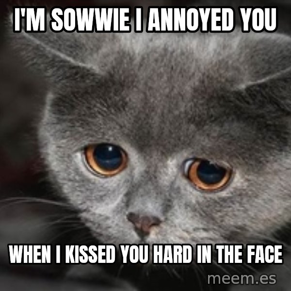 Sadcat meme: i'm sowwie i annoyed you / when i kissed you hard in the face