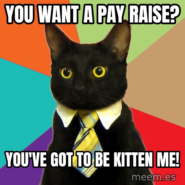 Business Cat meme: you want a pay raise? / you've got to be kitten me!
