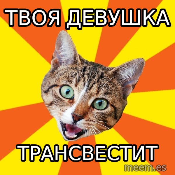 Bad Advice Cat meme: твоя девушка / трансвестит