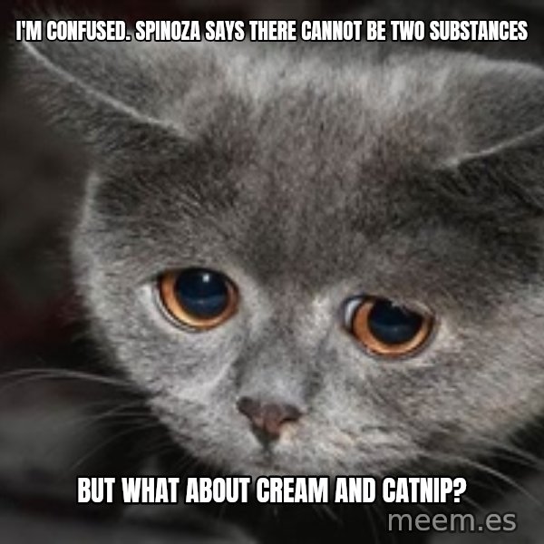 Sadcat meme: I'm confused. Spinoza says there cannot be two substances / but what about cream and catnip?