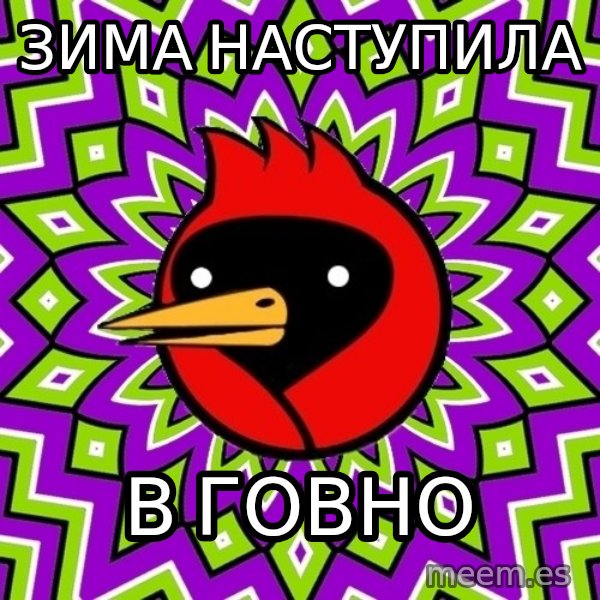 Omsk Crow meme: зима наступила / В ГОВНО