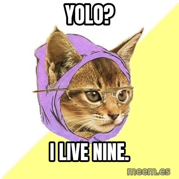 Hipster Kitty meme: yolo? / i live nine.