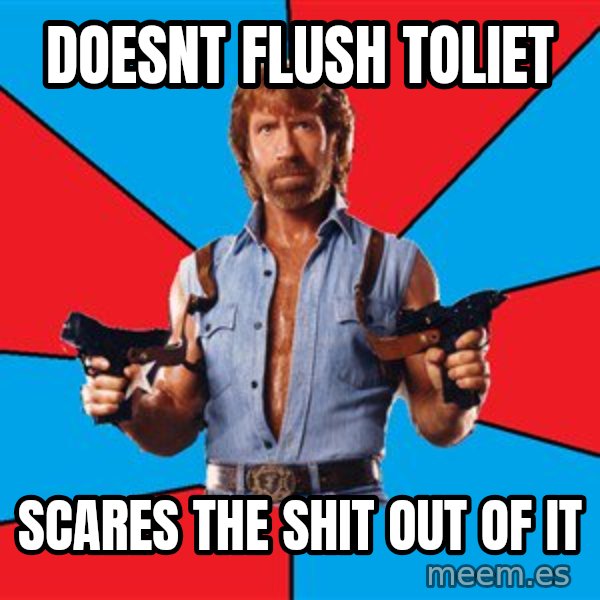 Chuck Norris  meme: Doesnt Flush Toliet / Scares the shit out of it