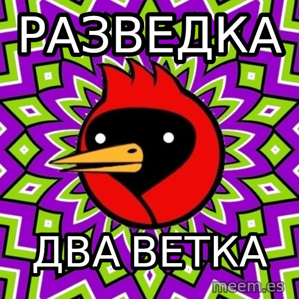 Omsk Crow meme: рАЗВЕДКА / Два ветка