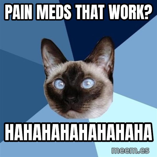 Chronic Illness Cat meme: PAIN MEDS THAT WORK? / HAHAHAHAHAHAHAHA