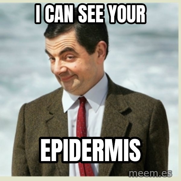 MR bean meme: I can see your / epidermis