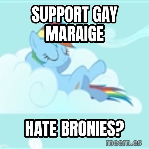 My Little Pony meme: SUPPORT GAY MARAIGE / HATE BRONIES?
