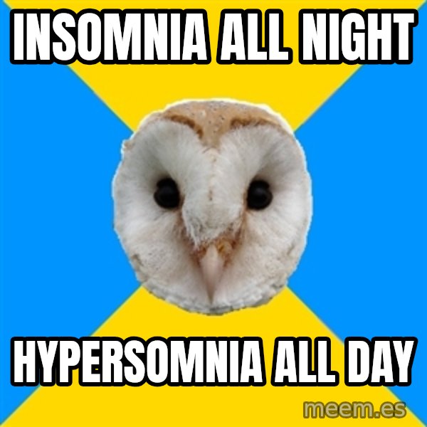 Bipolar Owl meme: Insomnia all night / Hypersomnia all day