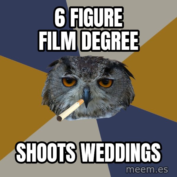 Art Student Owl meme: 6 figure film degree / shoots weddings