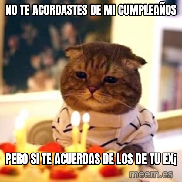 Birthday Cat meme: NO TE ACORDASTES DE MI CUMPLEAÑOS / PERO SI TE ACUERDAS DE LOS DE TU EX¡