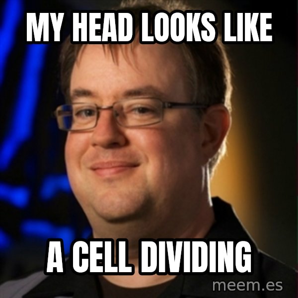Jay Wilson Diablo 3 meme: my head looks like / a cell dividing