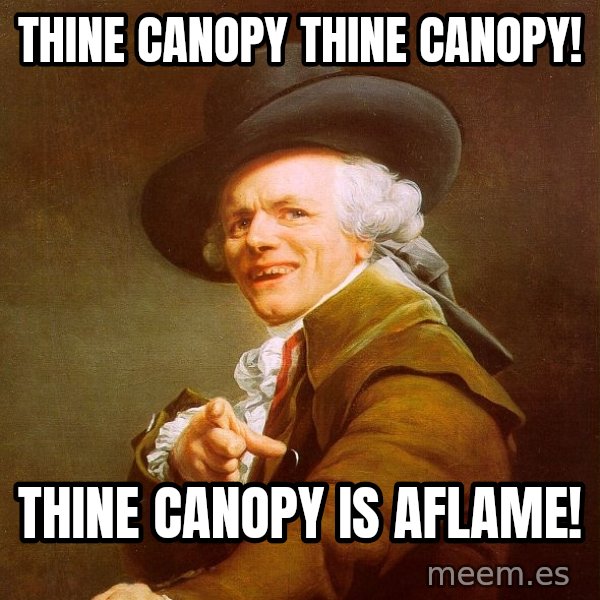 Joseph Ducreux meme: Thine canopy thine canopy! / Thine canopy is aflame!