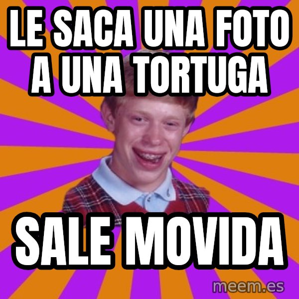 Unlucky Brian Strikes Again meme: LE SACA UNA FOTO A UNA TORTUGA / SALE MOVIDA