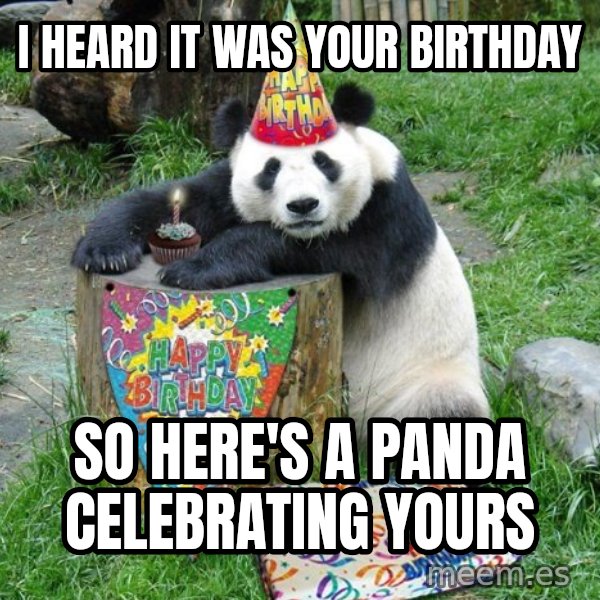 Happy Birthday Panda meme: I heard it was your birthday / so here's a panda celebrating yours