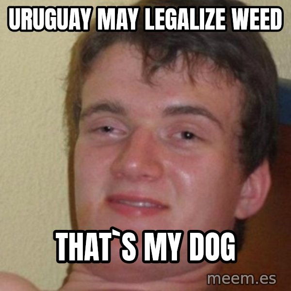 really high guy meme: uruguay may legalize weed / that`s my dog