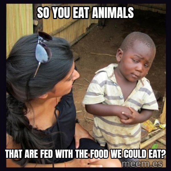 Skeptical third-world kid meme: SO YOU EAT ANIMALS / THAT ARE fed with THE FOOD WE COULD EAT?