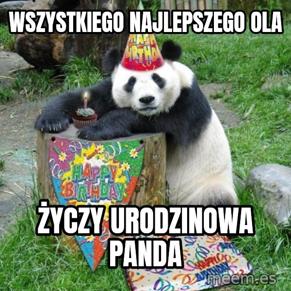 Happy Birthday Panda meme: wszystkiego Najlepszego OLa / życzy urodzinowa panda