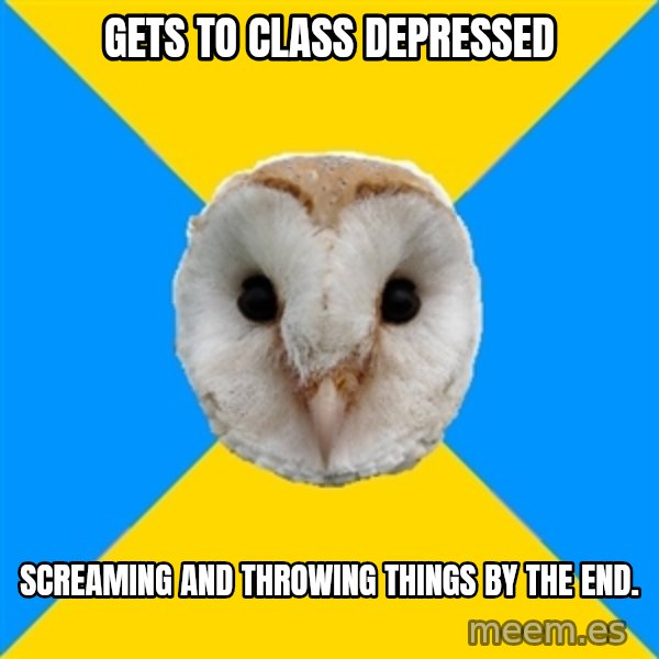 Bipolar Owl meme: Gets to class depressed / Screaming and throwing things by the end.