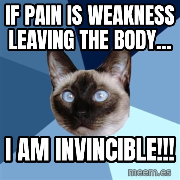Chronic Illness Cat meme: if pain is weakness leaving the body... / i am invincible!!!