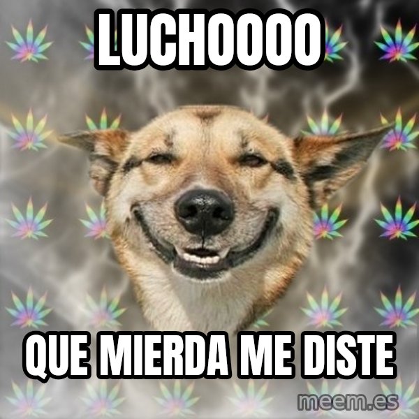 Stoner Dog meme: LUCHOOOO / QUE MIERDA ME DISTE