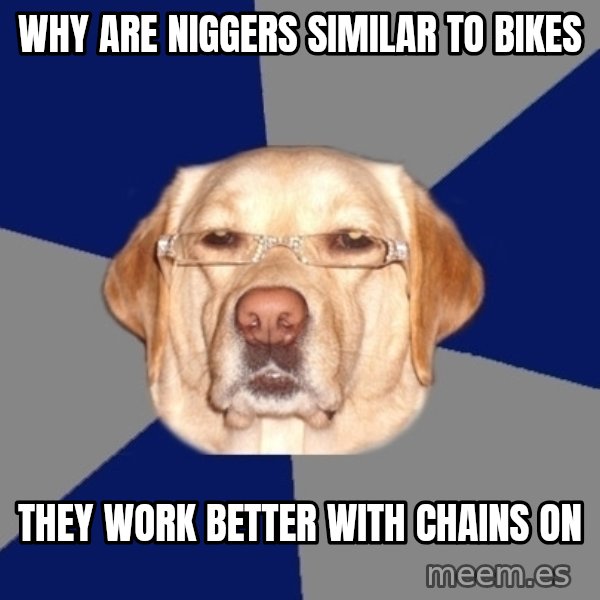 Racist Dog meme: Why are niggers similar to bikes / they work better with chains on