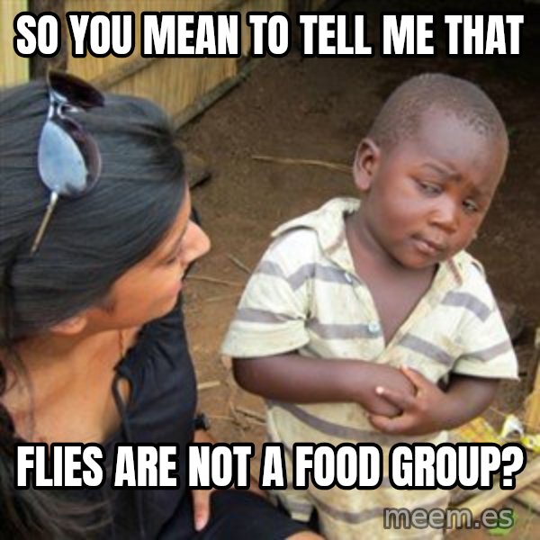 Skeptical 3rd World Kid meme: so you mean to tell me that / flies are not a food group?