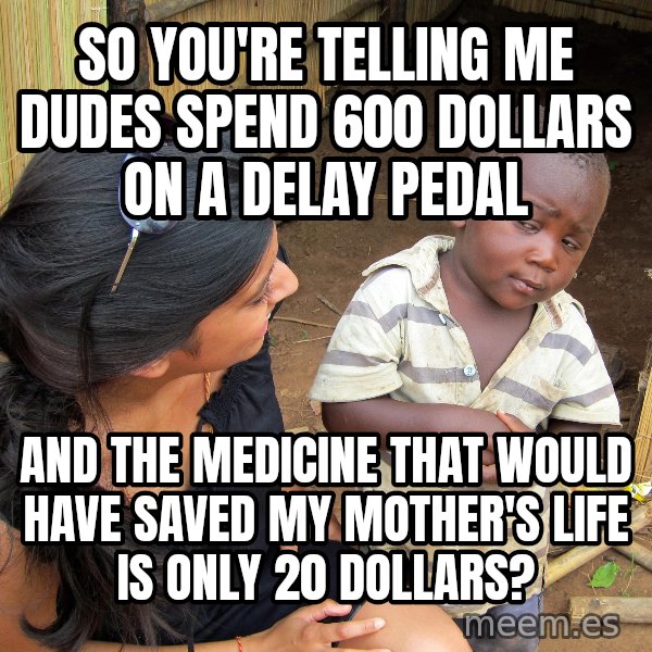 Skeptical 3rd World Kid meme: So you're telling me dudes spend 600 dollars on a delay pedal / and the medicine that would have saved my mother's life is only 20 dollars?